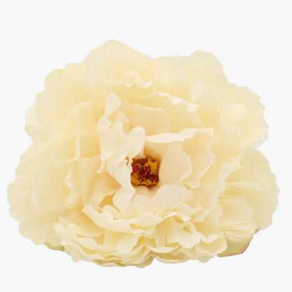 Nueva Peonia