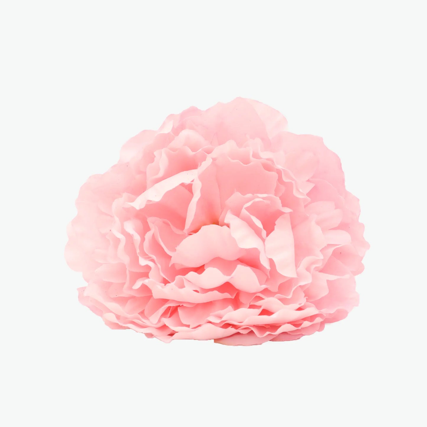 Nueva Peonia