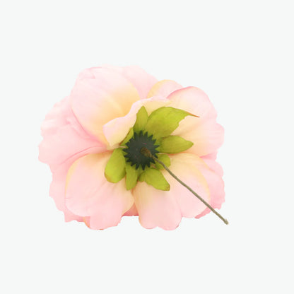 Nueva Peonia