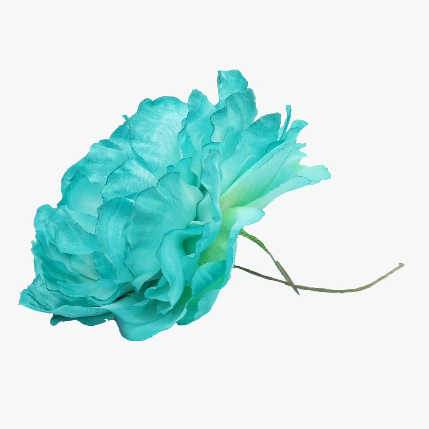 Nueva Peonia