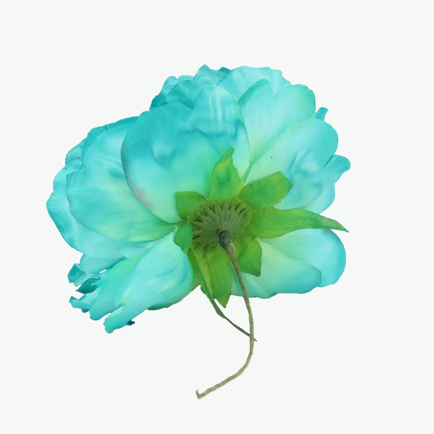 Nueva Peonia
