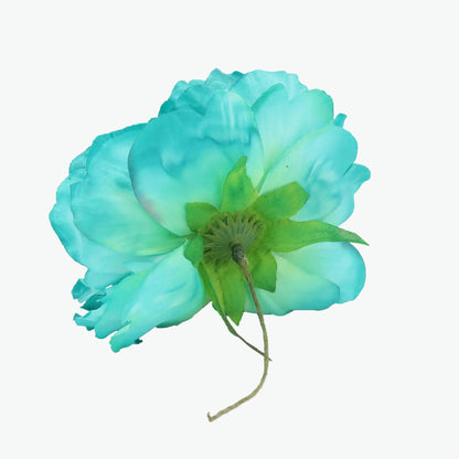 Nueva Peonia