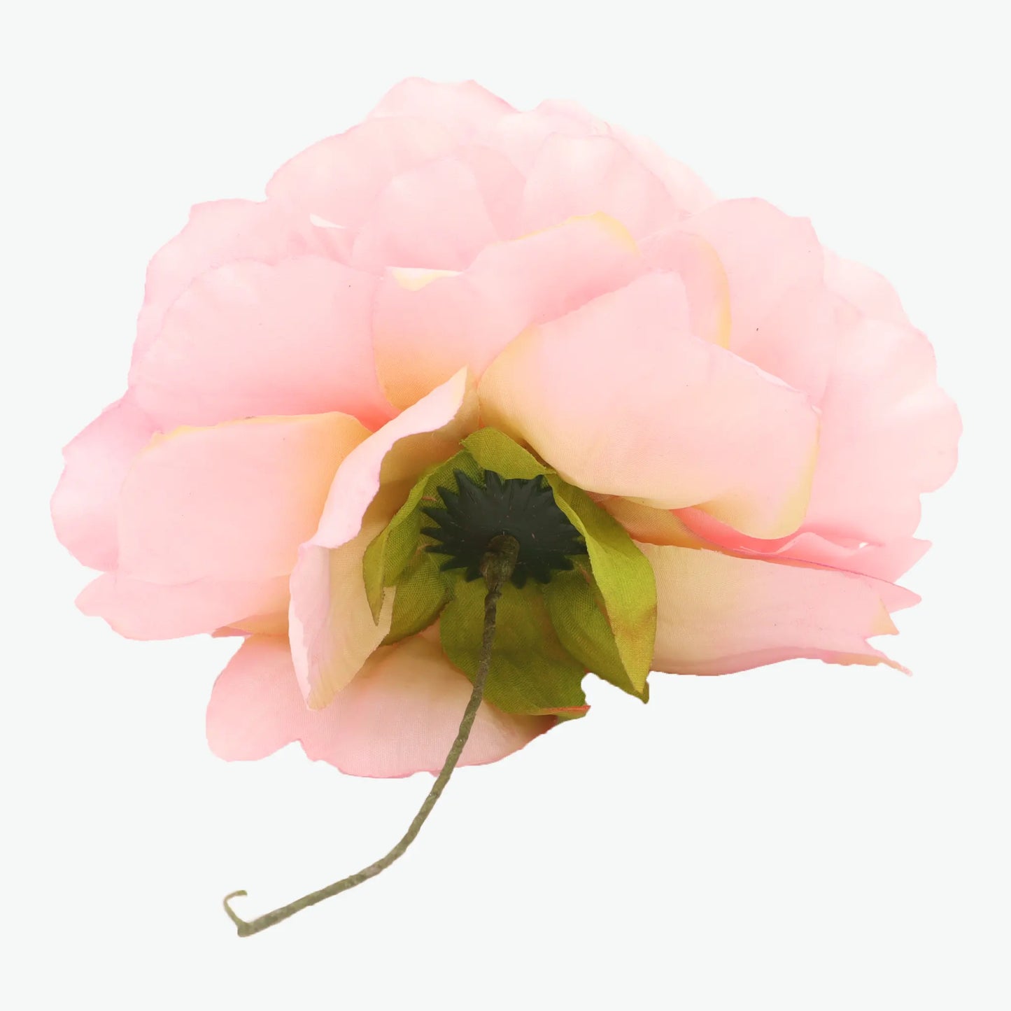 Nueva Peonia