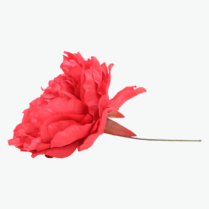 Nueva Peonia