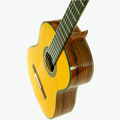 Guitarra Artesana Luthier Paoferro - Alvarez&Bernal